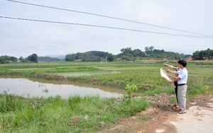 Vì sao chuyển đổi đất lúa kém hiệu quả sang nuôi trồng thủy sản ở Lập Thạch của Vĩnh Phúc còn khó khăn?