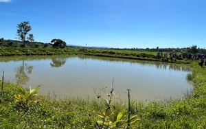 Gia Lai: Đi câu cá, nam thanh niên trượt chân xuống hồ đuối nước thương tâm