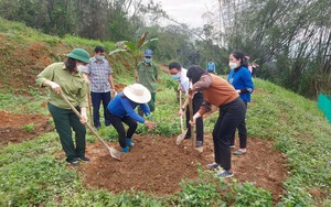 Hội nông dân Lào Cai: Phát huy vai trò xây dựng nông thôn mới