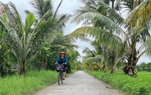 Mê mẩn đường nông thôn mới trồng dừa thành hàng khiến dân tình "phát sốt" ở Thanh Hóa