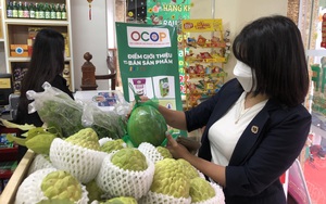 Riêng Hà Nội có 1.500 sản phẩm OCOP "3 sao" trở lên