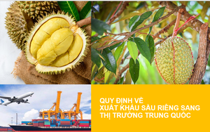 Trung Quốc lưu ý những &quot;con bọ&quot; nào không được xuất hiện trong trái sầu riêng xuất khẩu?