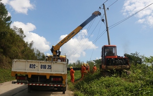 PC Kon Tum: Gia cố lưới điện đường dây 22kV mạch vòng Ngọc Linh - Tu Mơ Rông