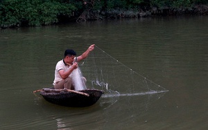 Đêm đi săn cá sông Bứa ở Phú Thọ, gặp hôm trúng mánh cả nhà gỡ cá từ khi gà gáy tới trời nắng gắt