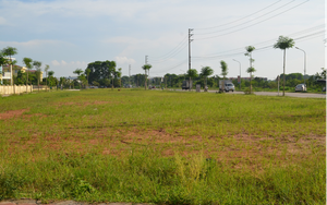 Huyện Mê Linh đấu giá 33 thửa đất, thu về gần 226 tỷ đồng