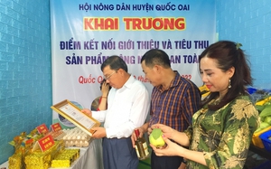 Hà Nội: Hội Nông dân Quốc Oai khai trương điểm kết nối, giới thiệu nông sản an toàn