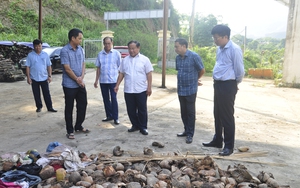 Phó Chủ tịch Trung ương Hội Nông dân Việt Nam khảo sát thực trạng môi trường nông thôn tại Ba Chẽ, Quảng Ninh