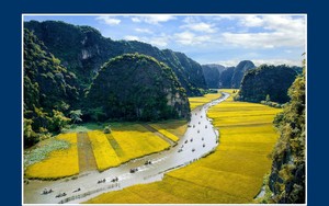 Nhiều hoạt động đặc sắc chưa từng có mừng năm Du lịch Quốc gia Quảng Nam 2022