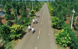 Con đường hoa nông thôn mới đẹp mê tơi ở vùng đất miệt vườn xanh mát tỉnh Đồng Nai