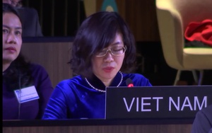 Việt Nam trúng cử với số phiếu cao nhất vào cơ quan điều hành quan trọng của UNESCO