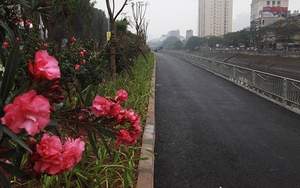 Đề xuất dừng tuyến đường đi bộ ven sông Tô Lịch