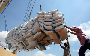 Nhu cầu thế giới tăng, cơ hội lớn cho xuất khẩu gạo Việt Nam