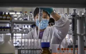 Trung Quốc phát hiện 35 người nhiễm virus Langya mới 