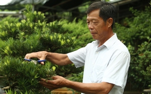 Trồng cây cảnh, trồng hoa như &quot;vườn thượng uyển&quot;, một tỷ phú Hà Giang là &quot;Nông dân Việt Nam xuất sắc 2022&quot;
