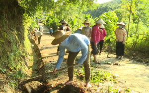 Phụ nữ Lai Châu thi đua bảo vệ môi trường, xây dựng nông thôn mới một cách thiết thực