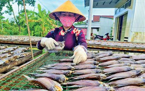 Nâng tầm nhãn hiệu &quot;Cá khô bổi U Minh&quot;