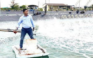 Nông dân Việt Nam xuất sắc 2022 xuất thân ngư dân, trở thành &quot;vua tôm thẻ&quot; ở Quảng Bình
