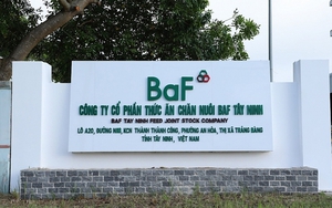 Nông nghiệp BaF (BAF) mua lại một công ty chăn nuôi lợn ở Tây Ninh