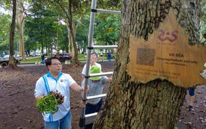 Hơn 3.000 nhánh lan rừng của người yêu lan cả nước được ghép lên cây ở phố núi Ban Mê của Đắk Lắk