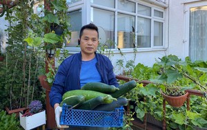 Ngỡ ngàng vườn rau “di động” hàng trăm loại của người đàn ông gốc Việt ở Anh