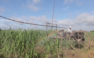 Một nông dân Tây Ninh sáng chế máy phun thuốc bảo vệ thực vật, bà con bớt cực mà giá lại "hạt rẻ"