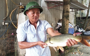 Sức sống mới trong đồng bào công giáo Chương Mỹ: Những triệu, tỷ phú lan tỏa phong trào làm giàu ở Tốt Động (Bài 1)