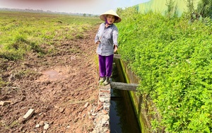 Kênh thủy lợi Hồng Đà ở huyện Tam Nông bị phá hủy: UBND tỉnh Phú Thọ chỉ đạo xử lý, huyện chưa nghe?!
