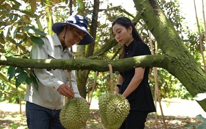 Nông dân Việt Nam xuất sắc 2022 đến từ Lâm Đồng trồng loại quả xuất khẩu chính ngạch, lãi hàng tỷ/năm