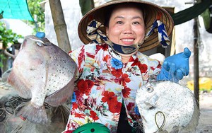 Kiên Giang: Nghề “cõng” lưới lên bờ cho chị em gỡ các loại hải sản như ghẹ, mực, cá… dính lưới bán cho khách