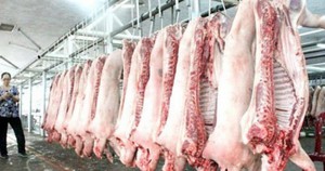 Không xuất lậu được lợn sống, có tình trạng xẻ thịt thành mảnh nhỏ chở sang Trung Quốc