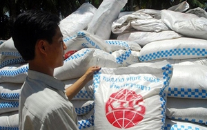 Hàng loạt quốc gia ASEAN bị Việt Nam đánh thuế chống bán phá giá sản phẩm mía đường