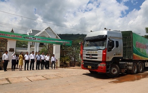 Sơn La: Cung cấp nông sản an toàn về Cảng hàng không Quốc tế Nội Bài