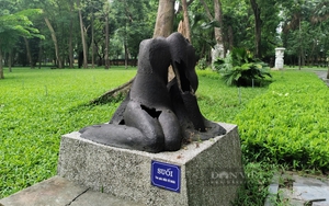 Hà Nội: Nâng cấp vườn tượng nghệ thuật trong Công viên Bách Thảo