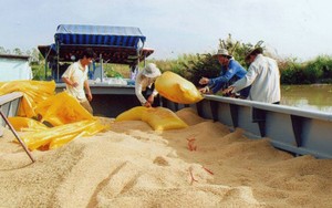 Giá gạo Việt Nam vẫn chưa có sự bứt phá