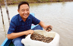 Nông dân Việt Nam xuất sắc 2022 đến từ Cà Mau nuôi sò huyết thu tiền tỷ, tay ngang nuôi tôm công nghệ cao