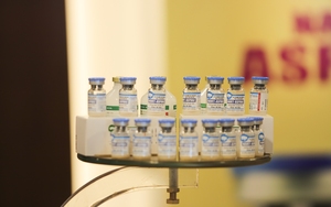 Tiêm phòng vaccine của Công ty Navetco lợn vẫn chết, Bình Định lệnh dừng tiêm phòng