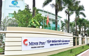 "Vua tôm" Minh Phú (MPC) sắp phát hành gần 200 triệu cổ phiếu thưởng, tỷ lệ 1:1