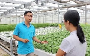 Nông dân Việt Nam xuất sắc 2022 đến từ TP.HCM trồng rau thủy canh theo kiểu lợi nhà, lợi cả cho thiên hạ