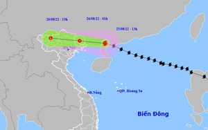 Bão số 3 cách Móng Cái 250km về phía Đông Đông Bắc, lên phương án sơ tán 135.000 người