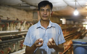 Một tỷ phú nuôi gà đẻ ở Hải Dương được bình chọn là "Nông dân Việt Nam xuất sắc 2022"