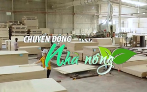 Chuyển động Nhà nông 27/8: Đồ nội thất gỗ Việt Nam thu hút người tiêu dùng Mỹ