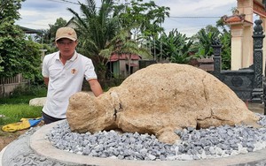 Rùa đá hơn 400 năm ở Quảng Trị, 8 người bê không nổi
