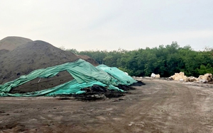 Tỉnh Bình Dương yêu cầu xử lý nghiêm trách nhiệm quản lý nhà nước vụ chôn lấp rác thải quy mô lớn