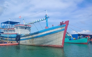Bình Thuận: Một số cây xăng tư nhân không có dầu bán, tàu thuyền ở huyện Tuy Phong không thể ra khơi