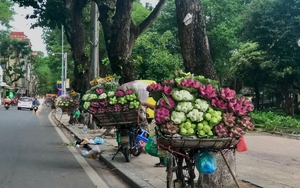 Ký ức Hà Nội: Những gánh hàng hoa mộc mạc, làm đẹp cho đời