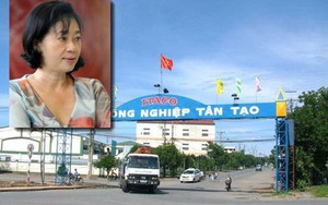 Bà Đặng Thị Hoàng Yến rút gần 2.000 tỉ đồng của Tập đoàn Tân Tạo để làm gì?