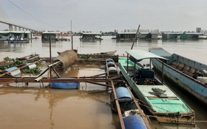 Cám cảnh như nông dân nuôi cá ở Tiền Giang, bán cả lồng bè vì thua lỗ