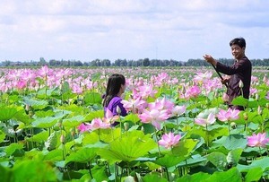 Đưa &quot;giấc mơ&quot; sen Đồng Tháp đi xa hơn: Không chỉ bán sản phẩm mà bán cả câu chuyện