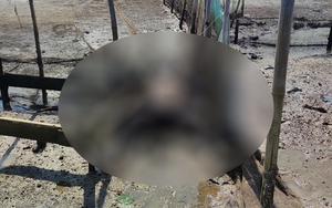 Quảng Bình: Phát hiện thi thể nam giới đang phân hủy trôi dạt vào bờ sông Gianh