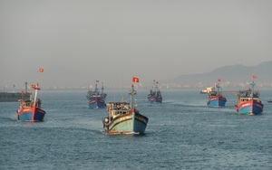 Đầu tư 150 tỷ đồng xây dựng tuyến luồng vào khu bến cảng Thọ Quang - Đà Nẵng